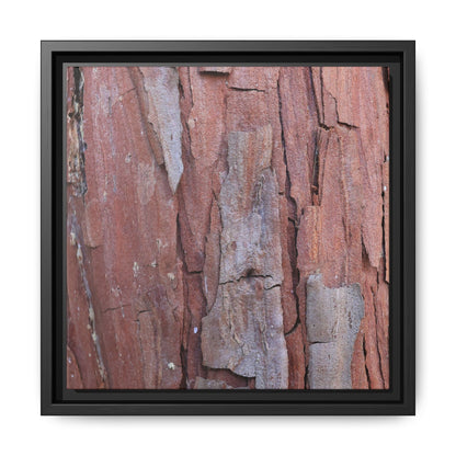 Peeling Bark - Unique Stretched Canvas Wall Art