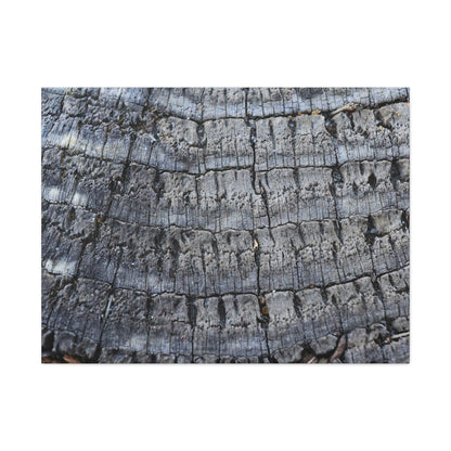 Whispers of Age - Unique Frameless Canvas Wall Art