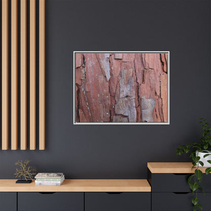 Peeling Bark - Unique Stretched Canvas Wall Art