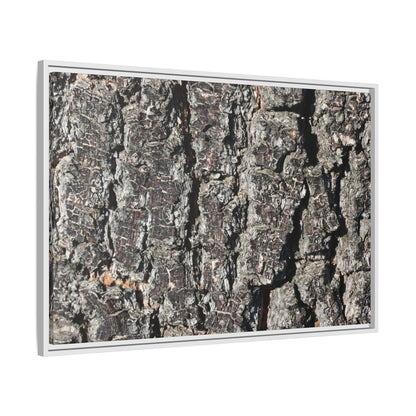 Bark Study in Gray - Unique Stretched Canvas Wall Art