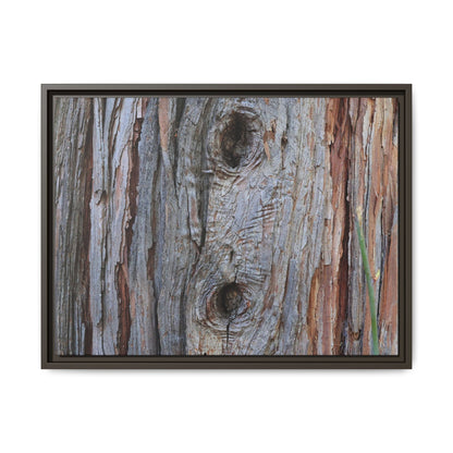 Knotty Nature - Unique Stretched Canvas Wall Art