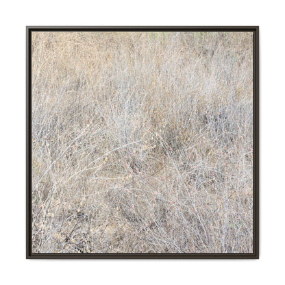 Whispers of Dry Grass - Unique Stretched Canvas Wall Art - Art By Earth
