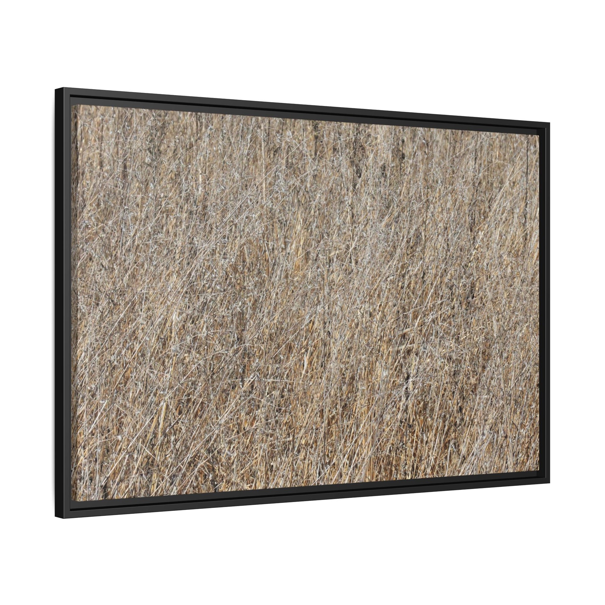 Dry Straw Symphony - Unique Stretched Canvas Wall Art - Art By Earth