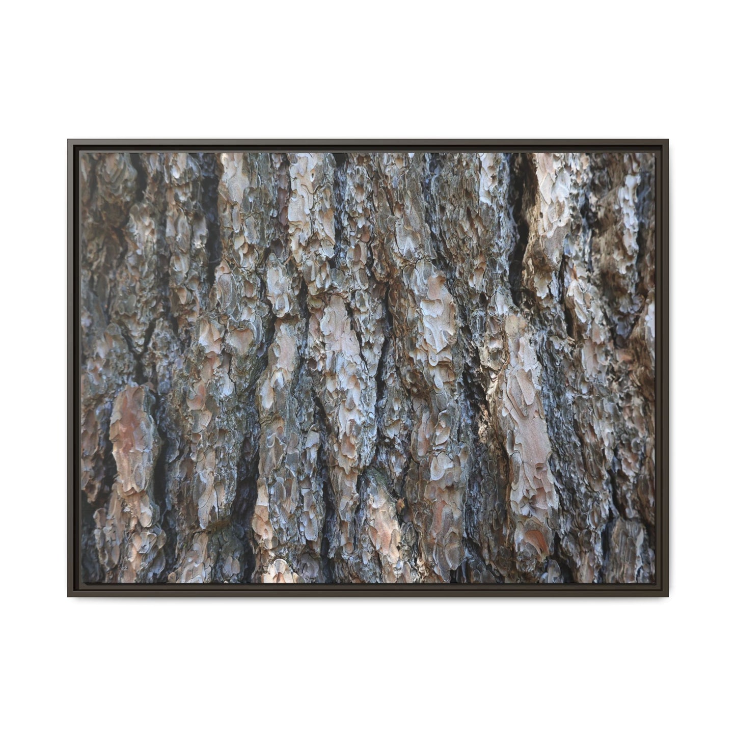 Bark Whispers - Unique Stretched Canvas Wall Art