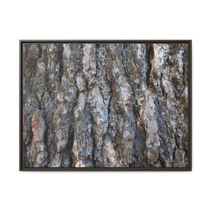 Bark Whispers - Unique Stretched Canvas Wall Art