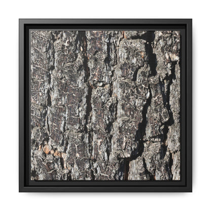 Bark Study in Gray - Unique Stretched Canvas Wall Art