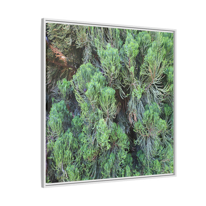 Verdant Whispers - Unique Stretched Canvas Wall Art