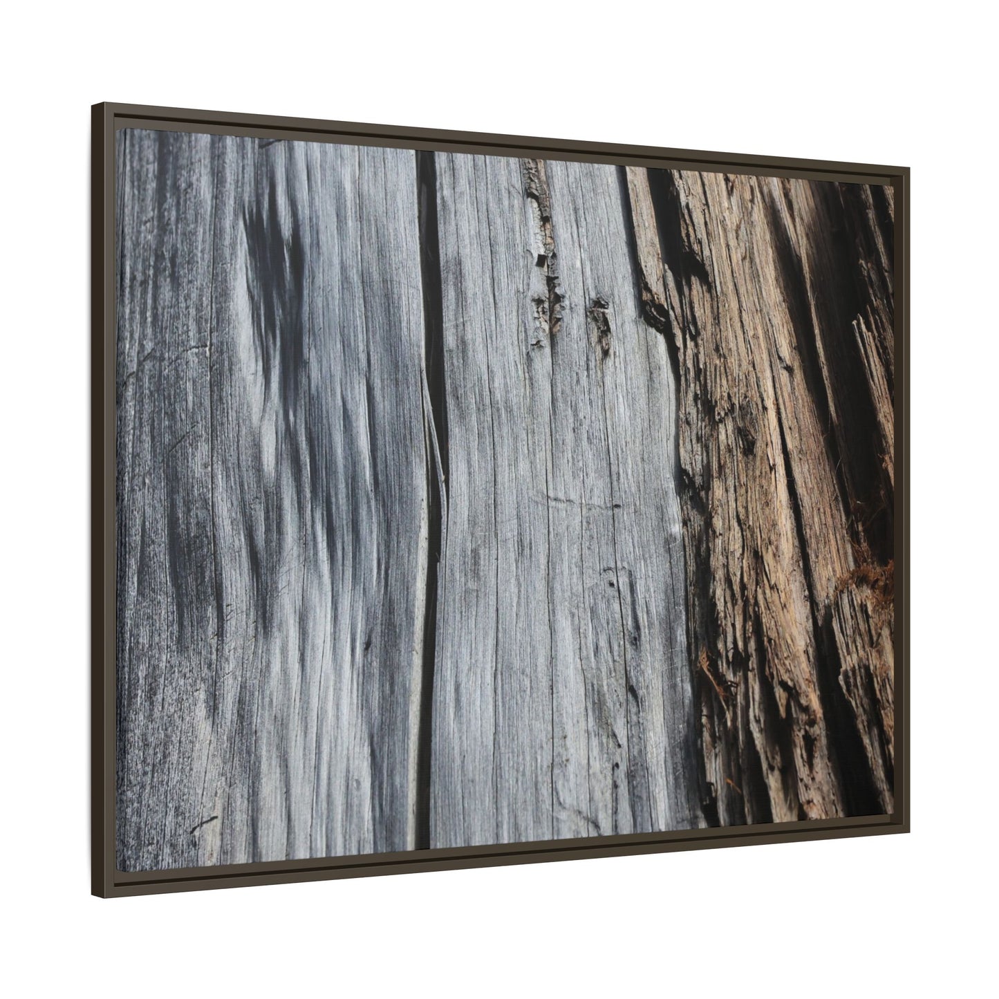 Wood's Lament - Unique Stretched Canvas Wall Art