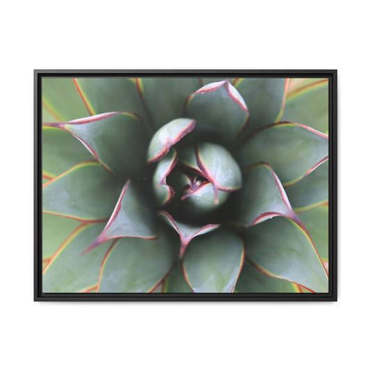 Spiky Elegance - Unique Stretched Canvas Wall Art