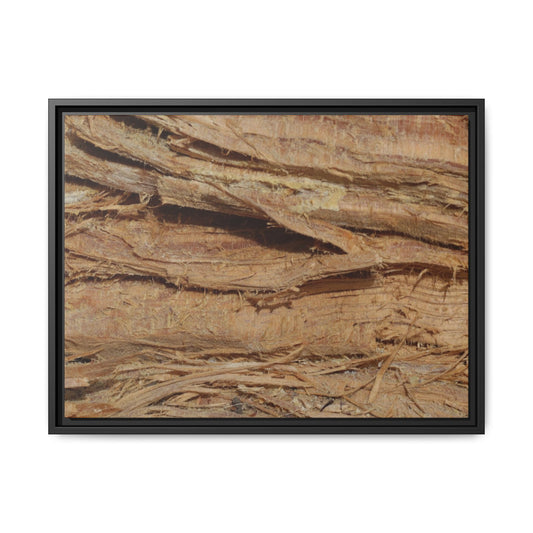 Splintered Bark - Unique Stretched Canvas Wall Art
