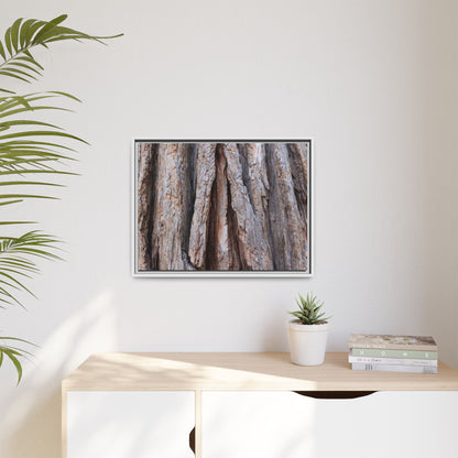 Nature's Sculpture - Unique Stretched Canvas Wall Art
