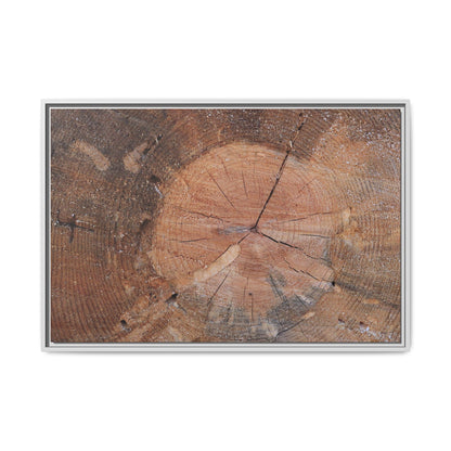 Concentric Memories - Unique Stretched Canvas Wall Art