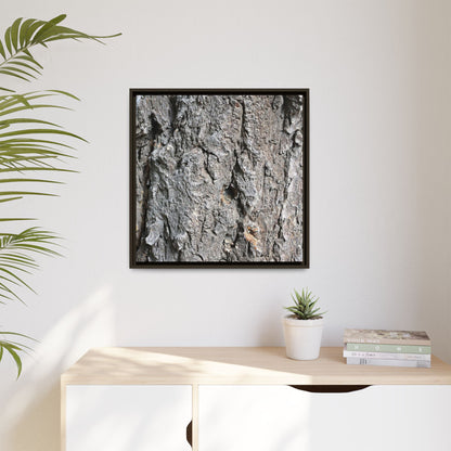 Crusty Exterior - Unique Stretched Canvas Wall Art