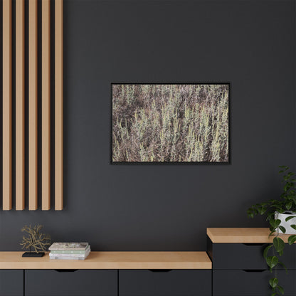 Sage Fields Forever - Unique Stretched Canvas Wall Art - Art By Earth
