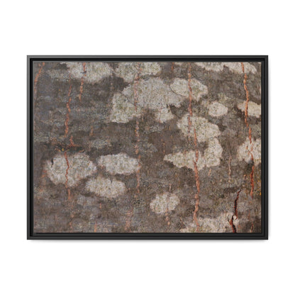 Lichen's Legacy - Unique Stretched Canvas Wall Art