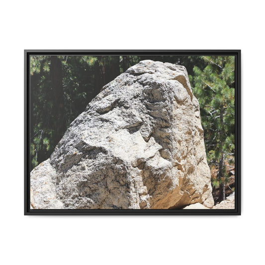 Stone's Silent Whisper - Unique Stretched Canvas Wall Art