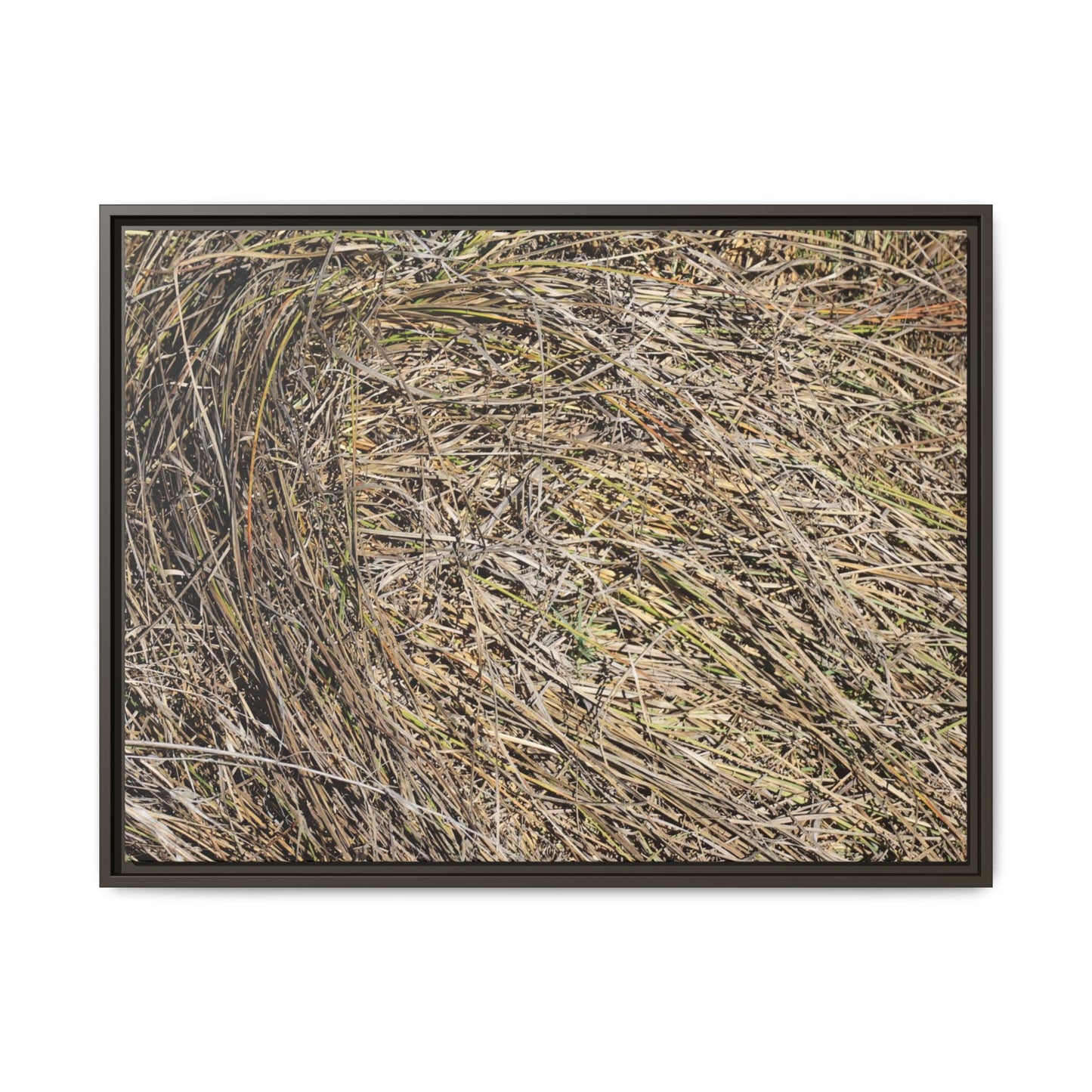Tangled Grass Symphony - Unique Stretched Canvas Wall Art - Art By Earth
