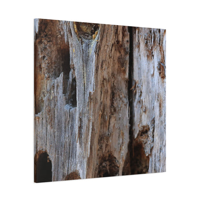 Timber Tapestry - Unique Frameless Canvas Wall Art