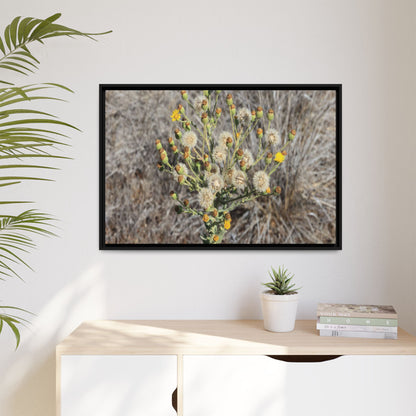 Whispers of the Dry Grass - Unique Stretched Canvas Wall Art - Art By Earth