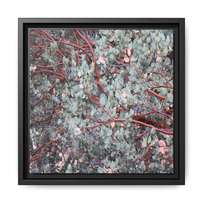 Whispers of Sage - Unique Stretched Canvas Wall Art