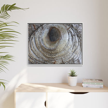 Echoes of Time - Unique Stretched Canvas Wall Art