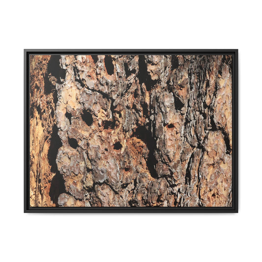 Rugged Rhythms - Unique Stretched Canvas Wall Art