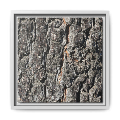 Aged Beauty - Unique Stretched Canvas Wall Art
