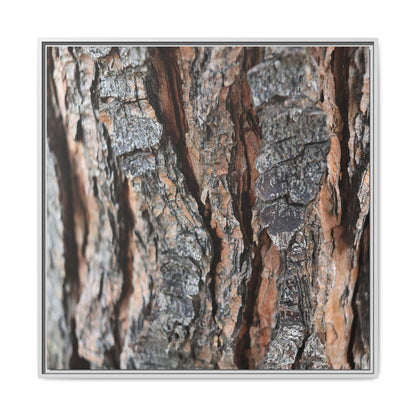 Fractured Nature - Unique Stretched Canvas Wall Art