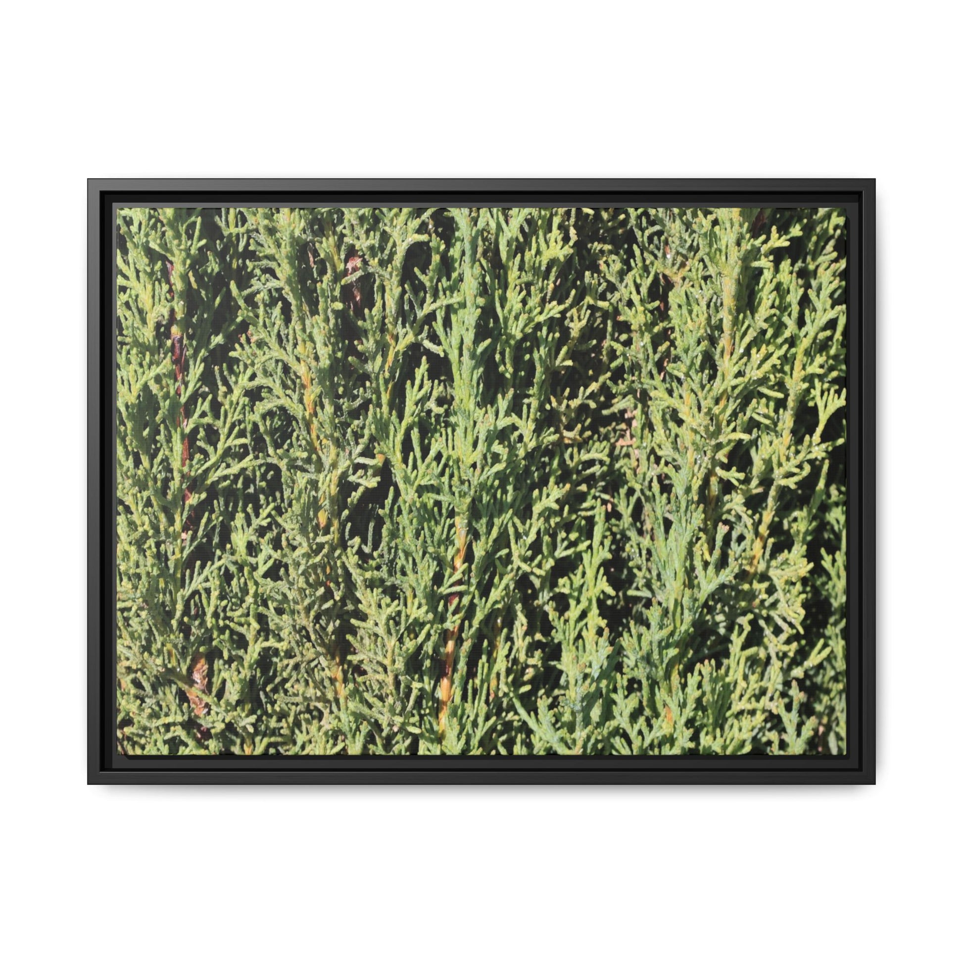 Emerald Labyrinth - Unique Stretched Canvas Wall Art - Art By Earth