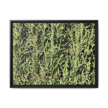 Emerald Labyrinth - Unique Stretched Canvas Wall Art - Art By Earth