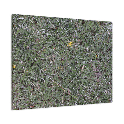 Tangled Memories - Unique Frameless Canvas Wall Art