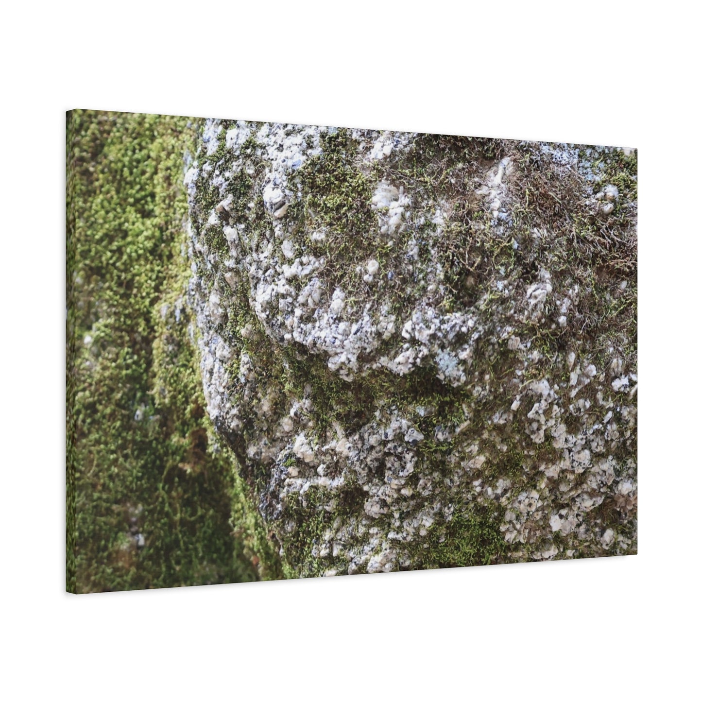 Moss and Stone Whispers - Unique Frameless Canvas Wall Art