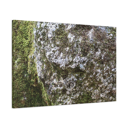Moss and Stone Whispers - Unique Frameless Canvas Wall Art