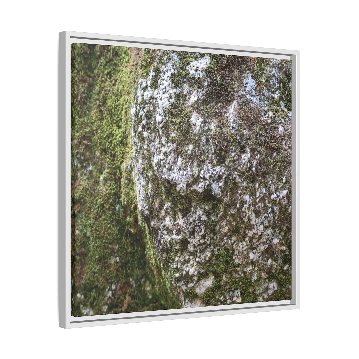 Lichen Landscape - Unique Stretched Canvas Wall Art