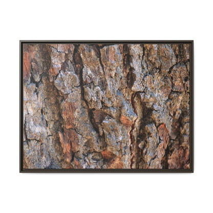 Craggy Textures - Unique Stretched Canvas Wall Art