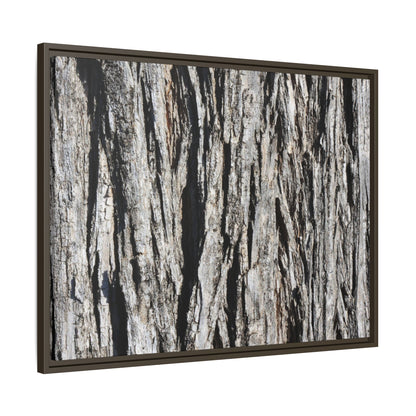 Bark Lines - Unique Stretched Canvas Wall Art