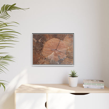 Concentric Memories - Unique Stretched Canvas Wall Art