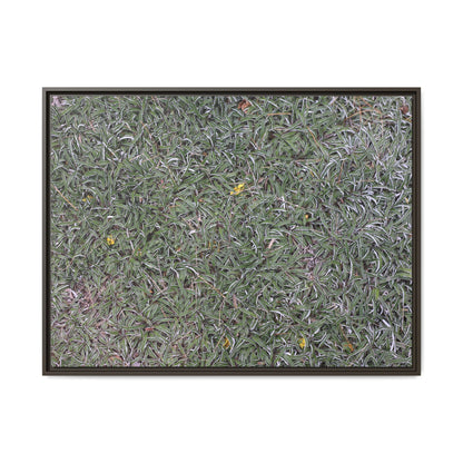 Grassy Texture - Unique Stretched Canvas Wall Art