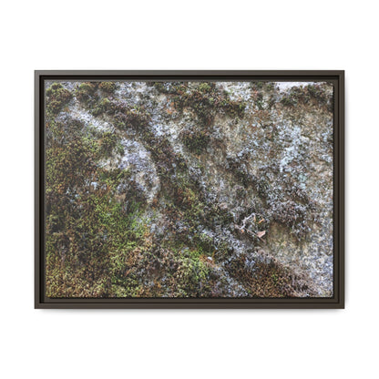Mossy Whispers - Unique Stretched Canvas Wall Art