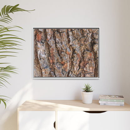 Tree's Timeworn Tale - Unique Stretched Canvas Wall Art