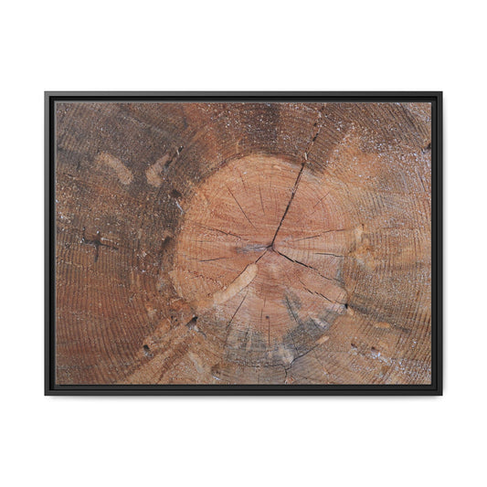 Concentric Memories - Unique Poster Wall Art