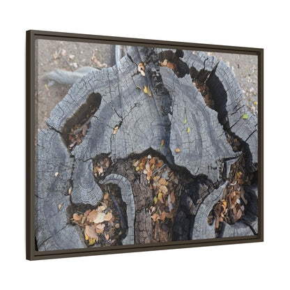 Time's Fractal Memory - Unique Stretched Canvas Wall Art