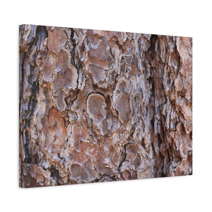 Rugged Bark Landscape - Unique Frameless Canvas Wall Art