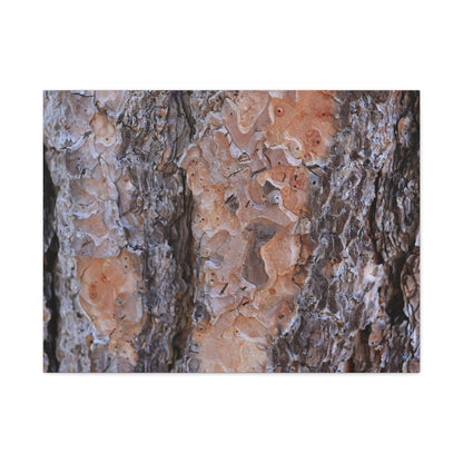 Terracotta Textures - Unique Frameless Canvas Wall Art