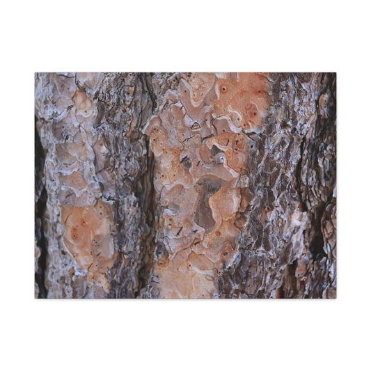 Terracotta Textures - Unique Frameless Canvas Wall Art