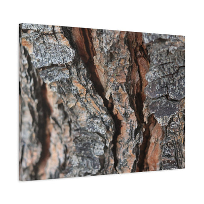 Rough Whispers - Unique Frameless Canvas Wall Art
