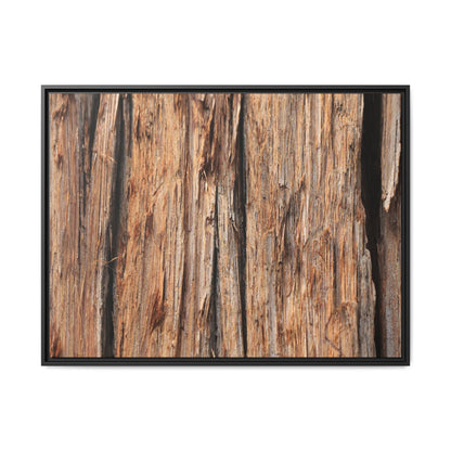 Timber Echoes - Unique Stretched Canvas Wall Art