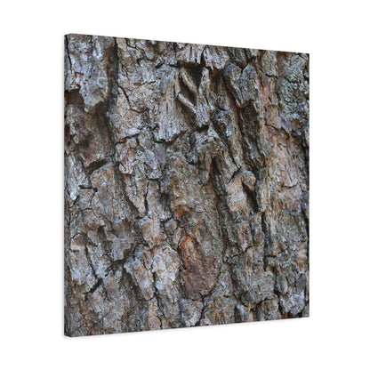 Rugged Canvas - Unique Frameless Canvas Wall Art