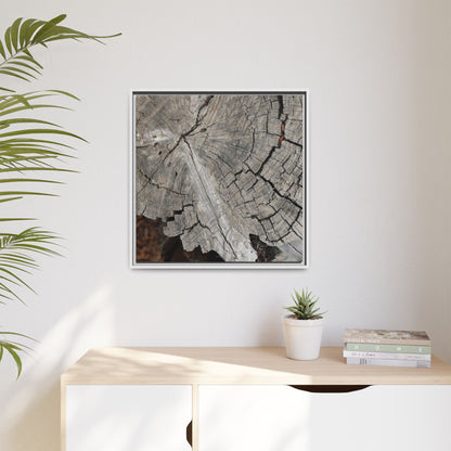 Time's Signature - Unique Stretched Canvas Wall Art