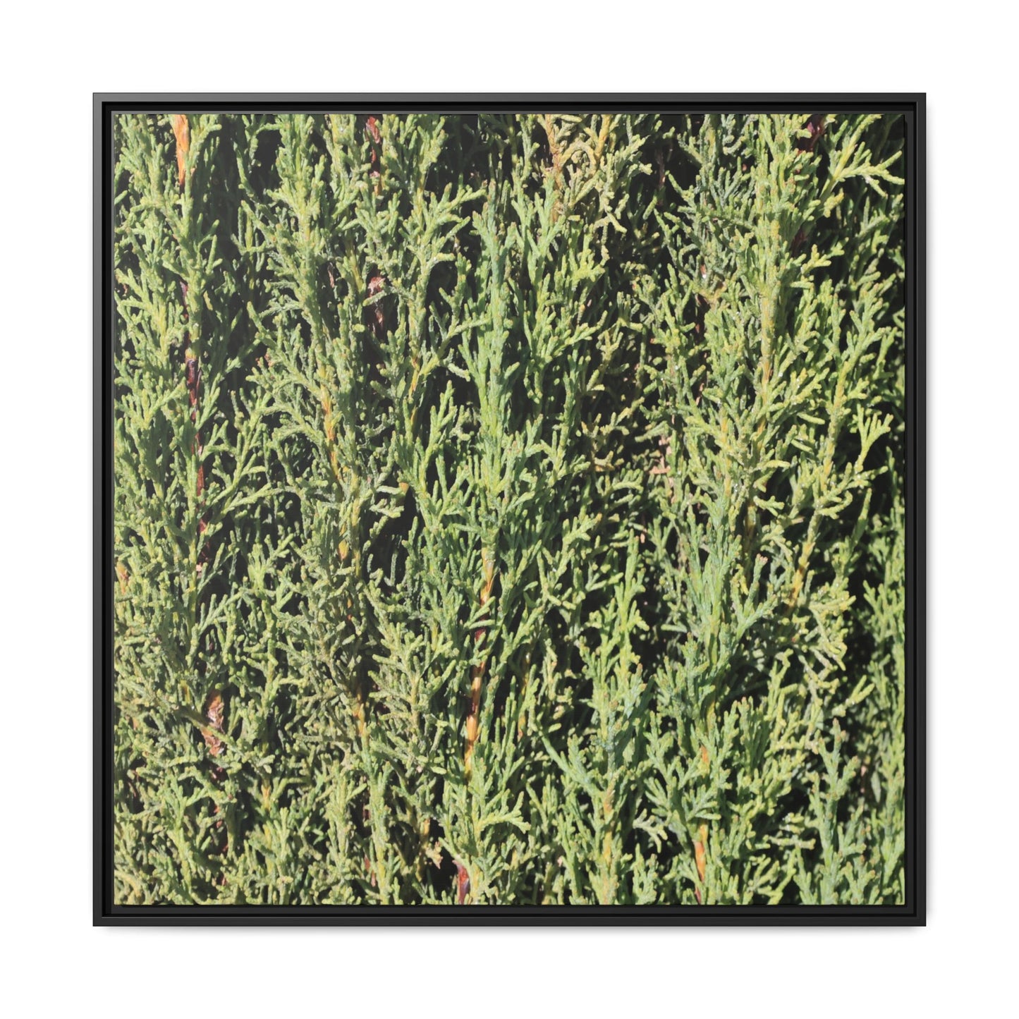 Emerald Labyrinth - Unique Stretched Canvas Wall Art - Art By Earth